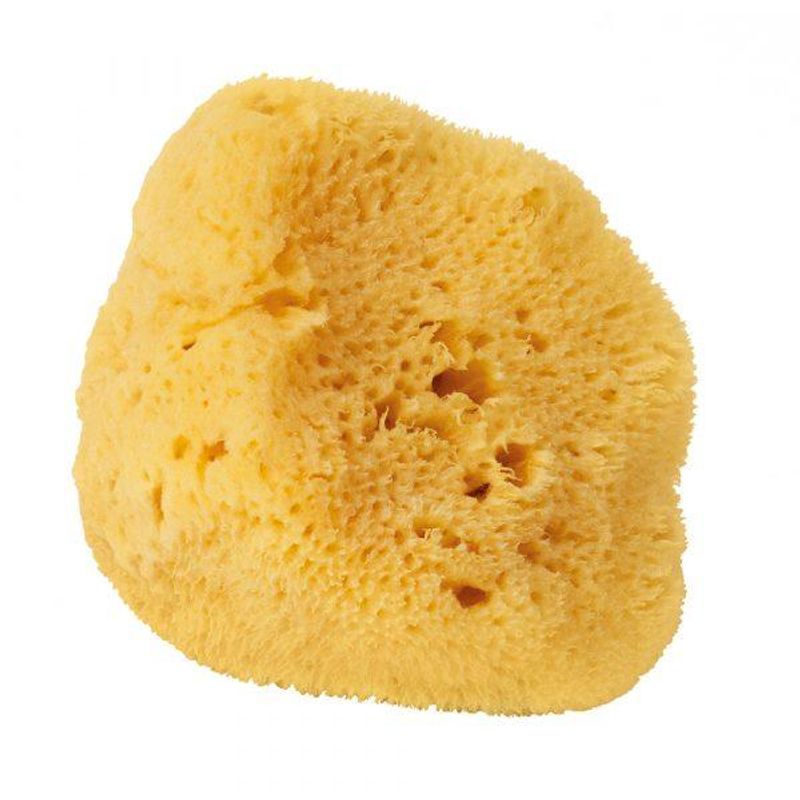 Natursvamp